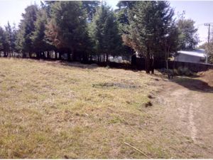 Terreno en Venta en huitzilac Huitzilac