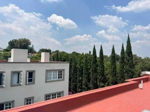 Casa en Renta en Jardines del Pedregal Álvaro Obregón