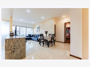 Departamento en Venta en Letran Valle Benito Juárez