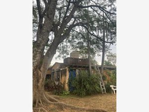 Terreno en Venta en Santo Domingo Tepoztlán