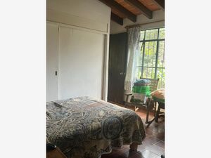 Terreno en Venta en Santo Domingo Tepoztlán