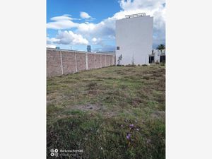 Terreno en Venta en San Antonio Cacalotepec San Andrés Cholula