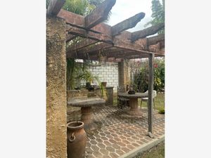 Terreno en Venta en Santo Domingo Tepoztlán