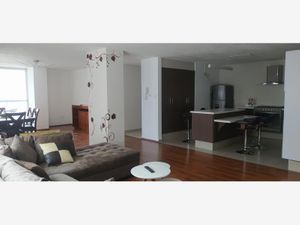 Departamento en Renta en Desarrollo del Pedregal San Luis Potosí