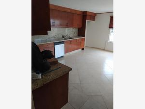 Casa en Renta en Miravalle San Luis Potosí