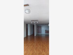 Departamento en Renta en Privadas del Pedregal San Luis Potosí