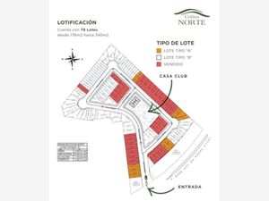 Terreno en Venta en Residencial Palma Real Torreón