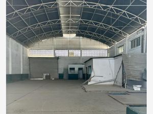 Bodega en Renta en Moctezuma Torreón