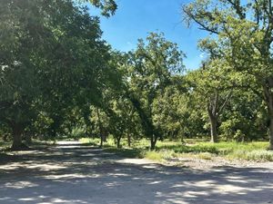 Terreno en Venta en Del Marquez Parras