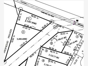 Terreno en Venta en Valle de los Pinos Ramos Arizpe