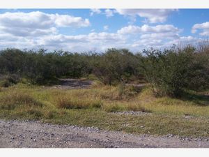 Terreno en Venta en Los Olivos Victoria