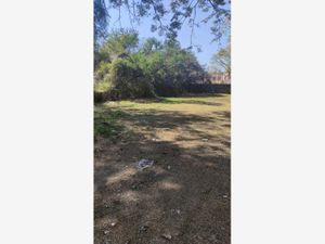 Terreno en Venta en Las Fincas Jiutepec