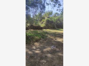 Terreno en Venta en Las Fincas Jiutepec