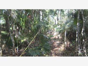 Terreno en Venta en Ejidal Tulum