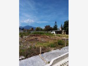 Terreno en Venta en El Relicario San Cristóbal de las Casas