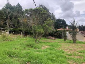 Terreno en Venta en Los Alcanfores San Cristóbal de las Casas