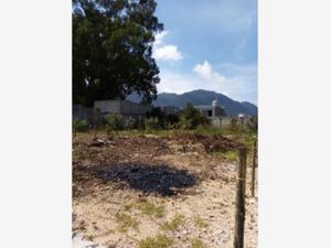 Terreno en Venta en El Relicario San Cristóbal de las Casas