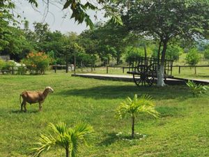 Finca/Rancho en Venta en Narciso Mendoza Chiapa de Corzo