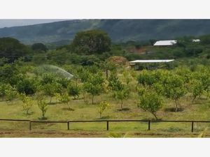 Finca/Rancho en Venta en Narciso Mendoza Chiapa de Corzo