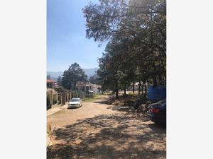 Terreno en Venta en Explanada del Carmen San Cristóbal de las Casas