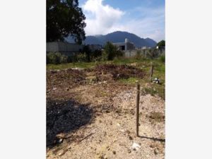 Terreno en Venta en El Relicario San Cristóbal de las Casas