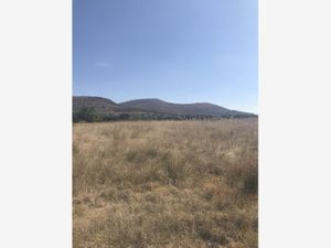 Terreno en Venta en El Cenicero Tequixquiac