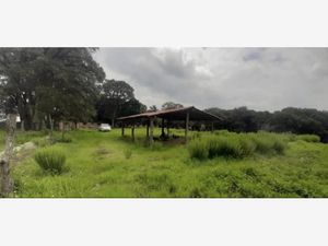 Terreno en Venta en San Juan de las Tablas Nicolás Romero