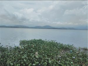 Terreno en Venta en Los Mogotes Coyuca de Benítez