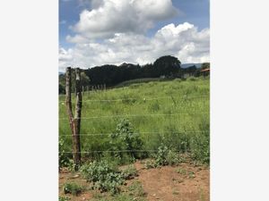 Terreno en Venta en San Juan de las Tablas Nicolás Romero