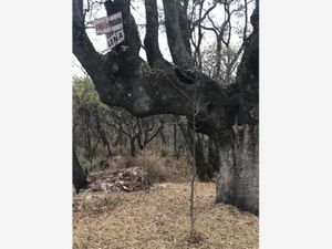 Terreno en Venta en Los Domínguez Villa del Carbón