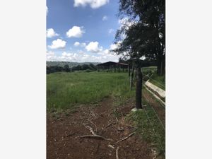 Terreno en Venta en San Juan de las Tablas Nicolás Romero