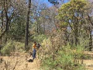 Terreno en Venta en San Jose El Vidrio Nicolás Romero