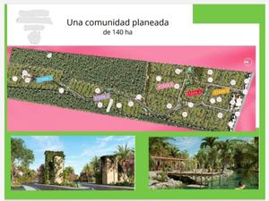 Terreno en Venta en Campestre Mérida