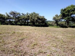 Terreno en Venta en Camino Antiguo a Tepoztlán Tepoztlán