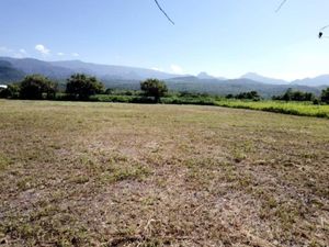 Terreno en Venta en Camino Antiguo a Tepoztlán Tepoztlán