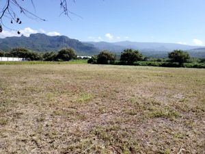 Terreno en Venta en Camino Antiguo a Tepoztlán Tepoztlán