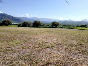 Terreno en Venta en Camino Antiguo a Tepoztlán Tepoztlán