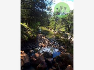 Terreno en Venta en Bosques de Montesión Durango