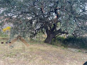 Terreno en Venta en Bosquencinos Monterrey