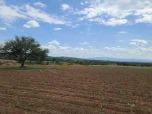 Terreno en Venta en La Esperanza Colón