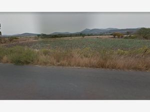 Terreno en Venta en Buenavista Huimilpan