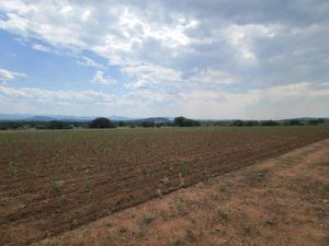 Terreno en Venta en La Esperanza Colón