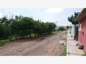 Terreno en Venta en Santa María Nativitas Colón