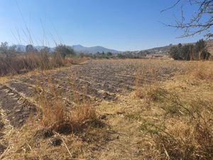 Terreno en Venta en Puerta del Tepozán Huimilpan