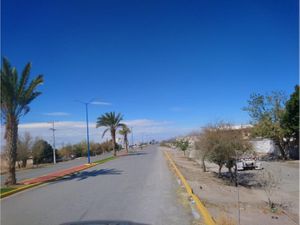 Terreno en Renta en El Ancora San Pedro