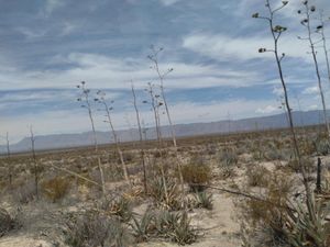 Finca/Rancho en Venta en Santa Teresa de Sofía Cuatro Ciénegas