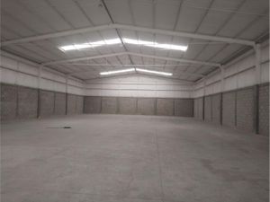 Bodega en Renta en Pequeña Zona Industrial Torreón