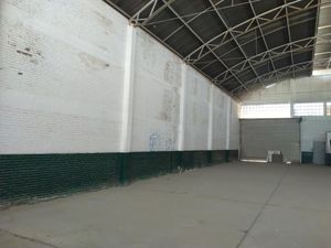 Bodega en Renta en Moctezuma Torreón