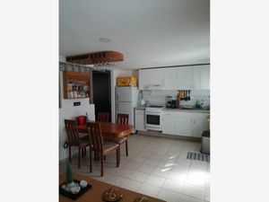 Departamento en Renta en Belisario Dominguez Puebla