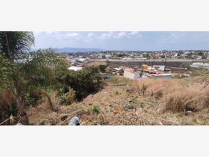 Terreno en Venta en Ahuatepec Cuernavaca